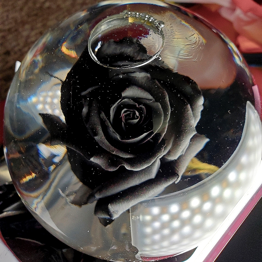Rose Globes 🌹